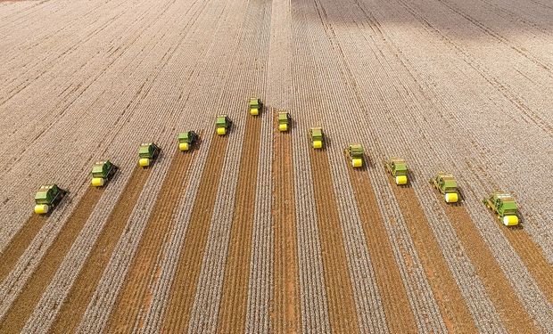 Colheita de algodão avança em algumas regiões do país. (foto - SLC Agrícola)