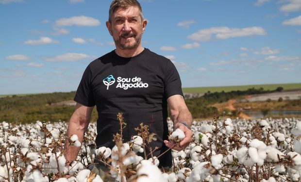 Márcio Portocarrero, diretor executivo da Abrapa vê uma grande oportunidade que não é mensurável: o Brasil ser o maior produtor de algodão sustentável do mundo. (Foto - Abrapa)