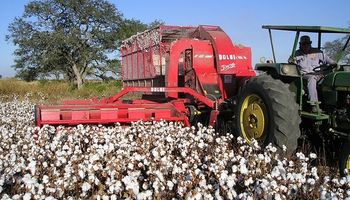 Santa Fe financiará la campaña de algodón con créditos sin interés
