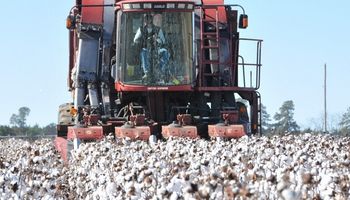 Aumento salarial en la actividad arrocera, algodonera y almacenamiento de granos