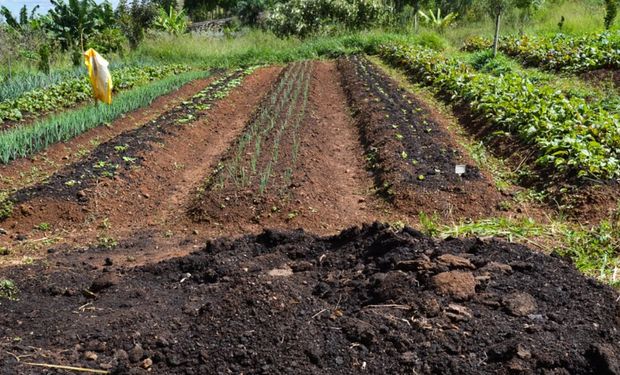 A situação provoca ainda perdas de produtividade no trabalho, que são particularmente elevadas nos países de rendimento alto e médio alto. (Foto - Agência Brasil)