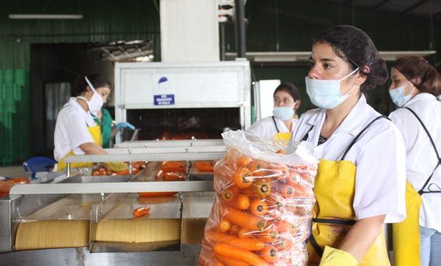 Productividad agrícola debe crecer 1,75 % cada año.