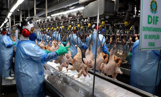 Setor de alimentos lidera emprego industrial do Brasil, diz IBGE