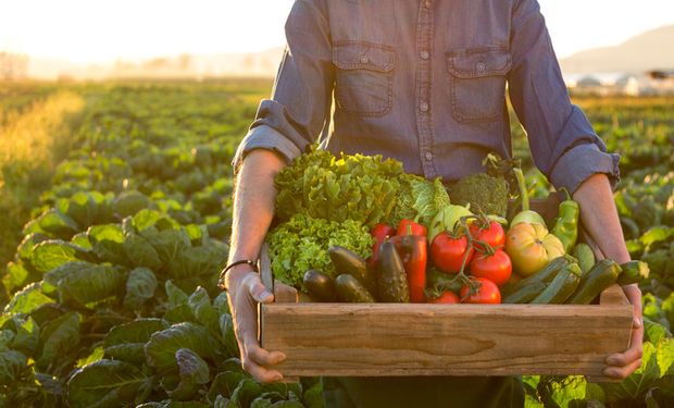 Índice de preços de alimentos da FAO também caiu em julho. (Foto: Getty Images)