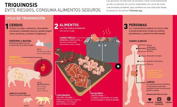 Triquinosis: recomendaciones para prevenir la enfermedad.