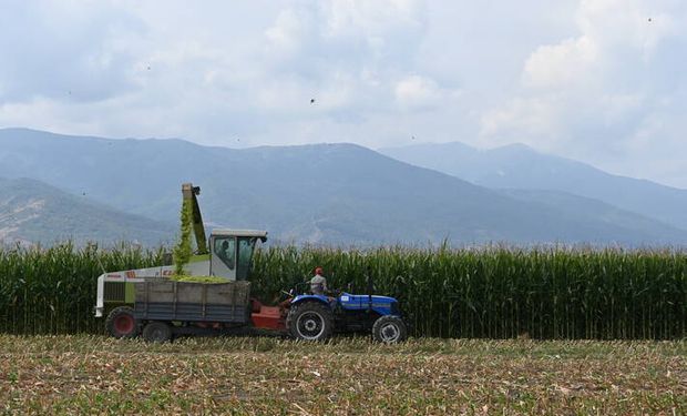 Sin Techo Se Dispara La Inflacion Global De Alimentos Que Va Camino A Un Nuevo Record Agrofy News