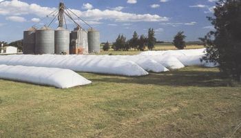 Bioinsecticidas para controlar plagas de granos almacenados