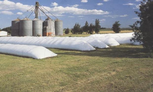 Hay plagas que atacan a semillas, granos y productos de molienda como las harinas.