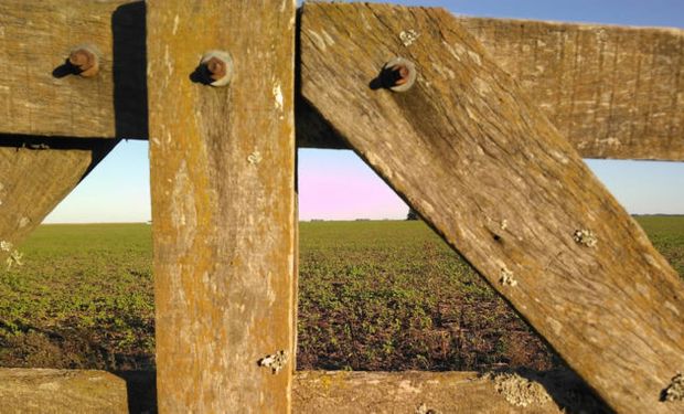 Se congelan los alquileres: cómo alcanza a los campos y a las viviendas rurales