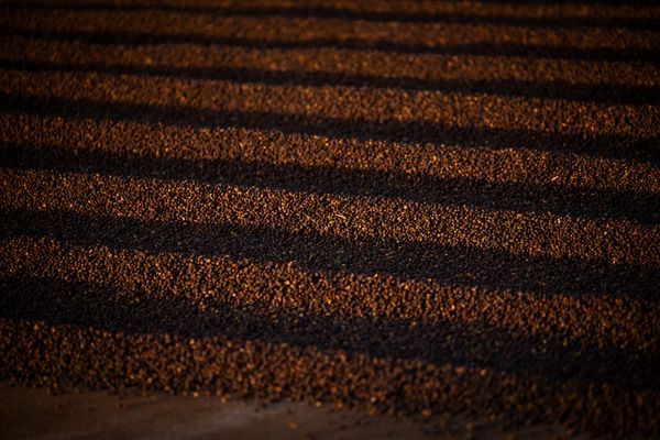 CafeAltaMogiana