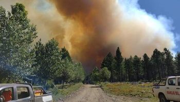 Incendio en Aluminé: cayó un helicóptero y murieron el piloto y el acompañante
