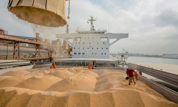 Exportaciones de poroto de soja fueron ajustadas al alza.