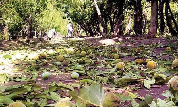 Mendoza pide que se declare la emergencia