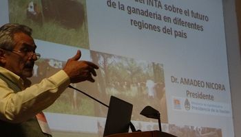 Positivo: “Argentina está en condiciones de triplicar la producción de carne”