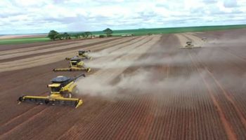 Amaggi dá largada à colheita de soja da safra 2022/2023