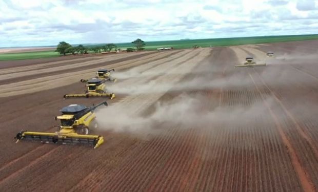 A área total plantada de soja nesta safra em todas as fazendas da Amaggi é de 170.661 hectares. (foto - captura)