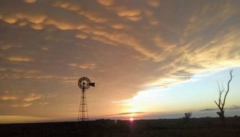 Septiembre arranca con tiempo estable tras las lluvias claves para la zona núcleo