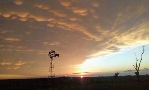 Septiembre arranca con tiempo estable tras las lluvias claves para la zona núcleo