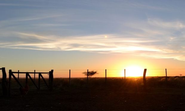 Riesgo de heladas: las bajas temperaturas mínimas se sentirán en toda la franja central