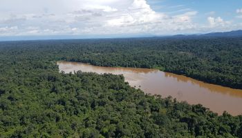Amazônia e Cerrado têm queda no desmatamento em janeiro