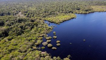 União Europeia doa R$ 120 milhões para o Fundo Amazônia