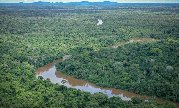 Nos 70 municípios considerados mais desmatadores da floresta, o Inpe informou queda de 42,1% este ano em relação ao anterior. (Foto - Divulgação)