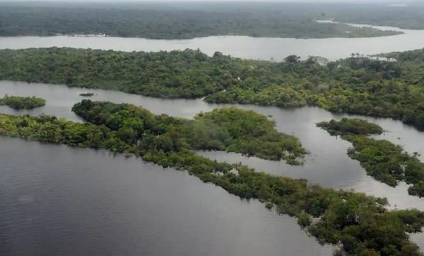 Redução de 22% do desmatamento da Amazônia não é o bastante. (Foto-Agência Brasil)