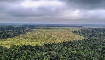 Desmatamento cai pela metade na Amazônia e sobe 43% no Cerrado em 2023