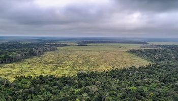 Desmatamento na Amazônia registra maior queda do ano em novembro