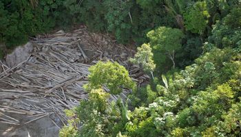 Desmatamento diminui na Amazônia e Cerrado; governo formaliza pacto com estados do Matopiba