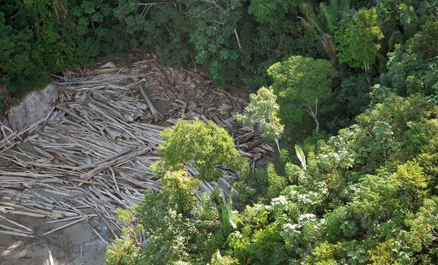 Desmatamento diminui na Amazônia e Cerrado; governo formaliza pacto com estados do Matopiba