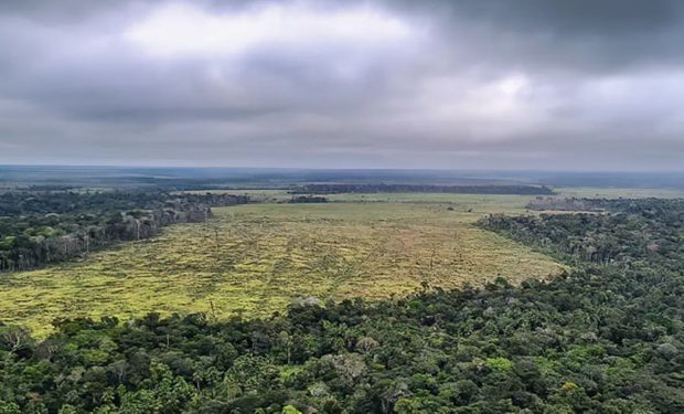 Programa com apoio dos municípios receberá R$ 600 milhões do Fundo Amazônia e R$ 130 milhões do Floresta+. (Foto - Polícia Federal/Divulgação)