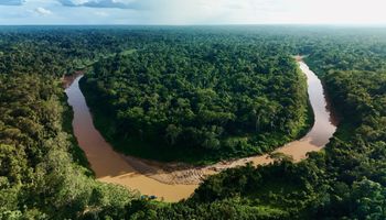 Desmatamento na Amazônia cai 11% e atinge 3ª menor taxa da história