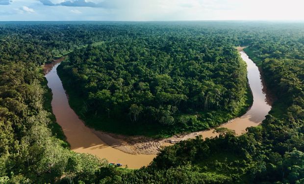 Desmatamento na Amazônia cai 11% e atinge 3ª menor taxa da história