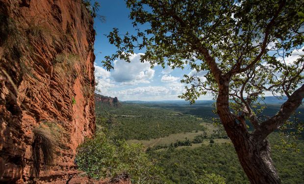 Assembleia do MT reclassifica 9,6 milhões de hectares de Amazônia para Cerrado