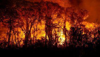 Queimadas fazem desmatamento na Amazônia saltar 92% em maio
