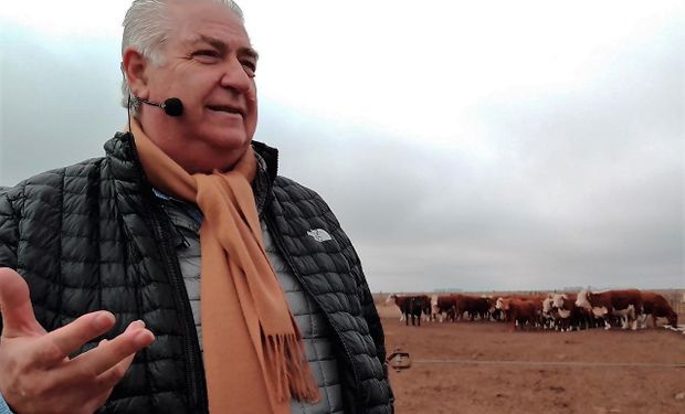 Superó anegamientos y sequías, hoy cuenta con 600 madres: “Gracias al sorgo, este campo funciona”