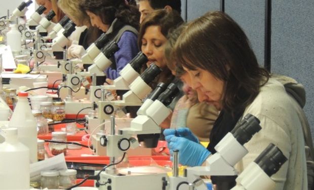 El laboratorio es un referente internacional en temas vinculados a calidad de semillas.