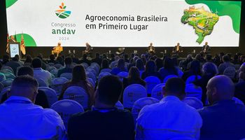 Ciclo baixista de grãos deve persistir até 2026, analisa Carlos Cogo