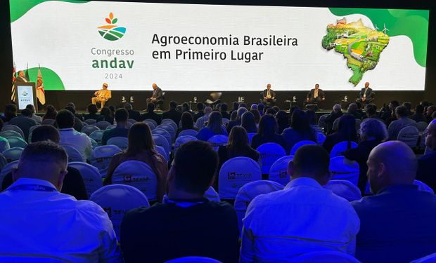 Ciclo baixista de grãos deve persistir até 2026, analisa Carlos Cogo