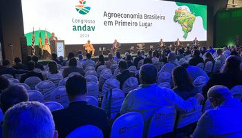 “Falta de Seguro Rural é a maior burrice da Política Agrícola brasileira", diz Roberto Rodrigues