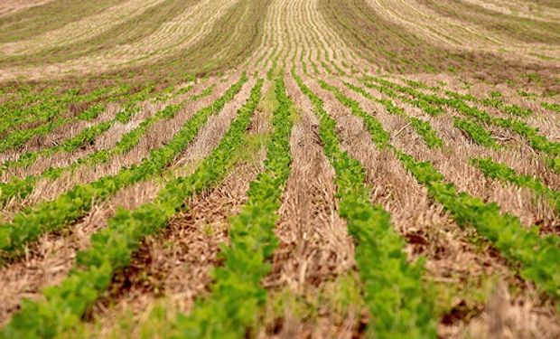 Metodologia está focada na possibilidade de pagamento de serviços ambientais. (foto - Embrapa)