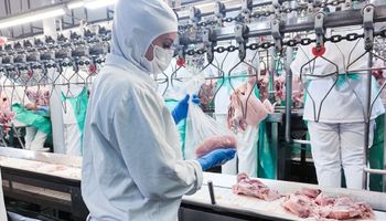 Em meio à emergência por gripe aviária, auditores acionam MPF contra proposta do Mapa