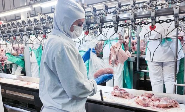 Em meio à emergência por gripe aviária, auditores acionam MPF contra proposta do Mapa