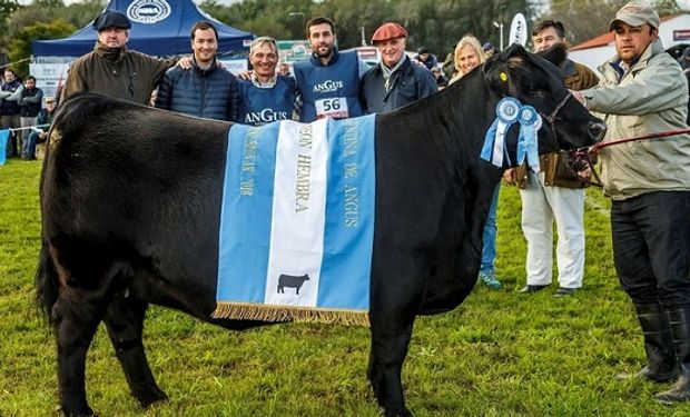 La Gran Campeona fue una vaquillona mayor de la cabaña Don Florencio.