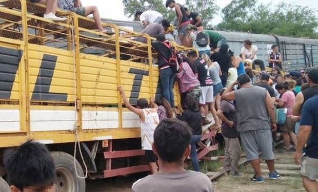 Un camión con 40 novillos chocó y los vecinos descuartizaron a los animales para sacar la carne