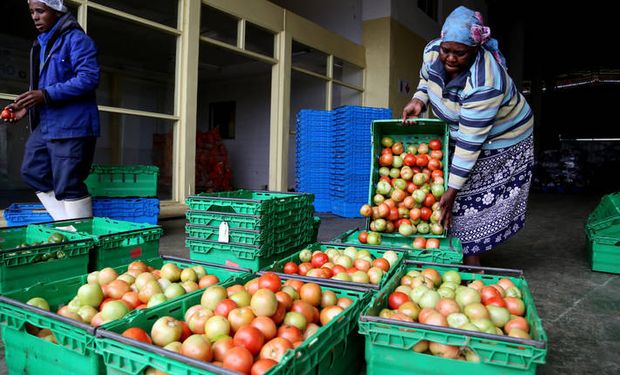 Designan al 2021 como el año de las frutas y verduras, una iniciativa para luchar contra el hambre y la malnutrición