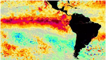 Se viene el "Súper Niño", ¿con notable aumento de las lluvias? Así sería el impacto en el campo
