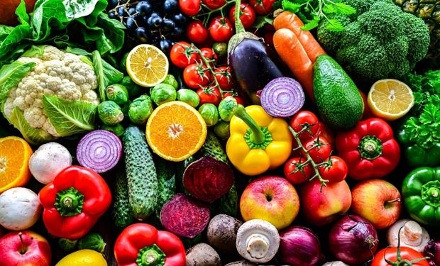 Alimentos vegetais brasileiros não apresentam risco crônico à saúde, aponta Anvisa