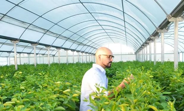 Abel Pintos desembarca en el agro y apuesta a una producción alternativa en un campo bonaerense